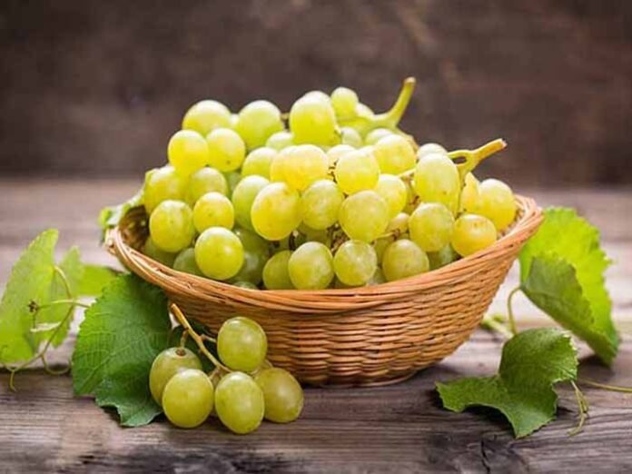 Grapes Have a Wide Variety of Health Benefits