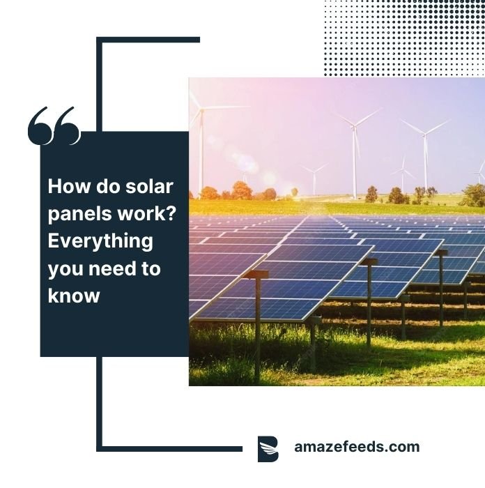 How Do Solar Panels Work? Everything You Need To Know - Amazefeeds