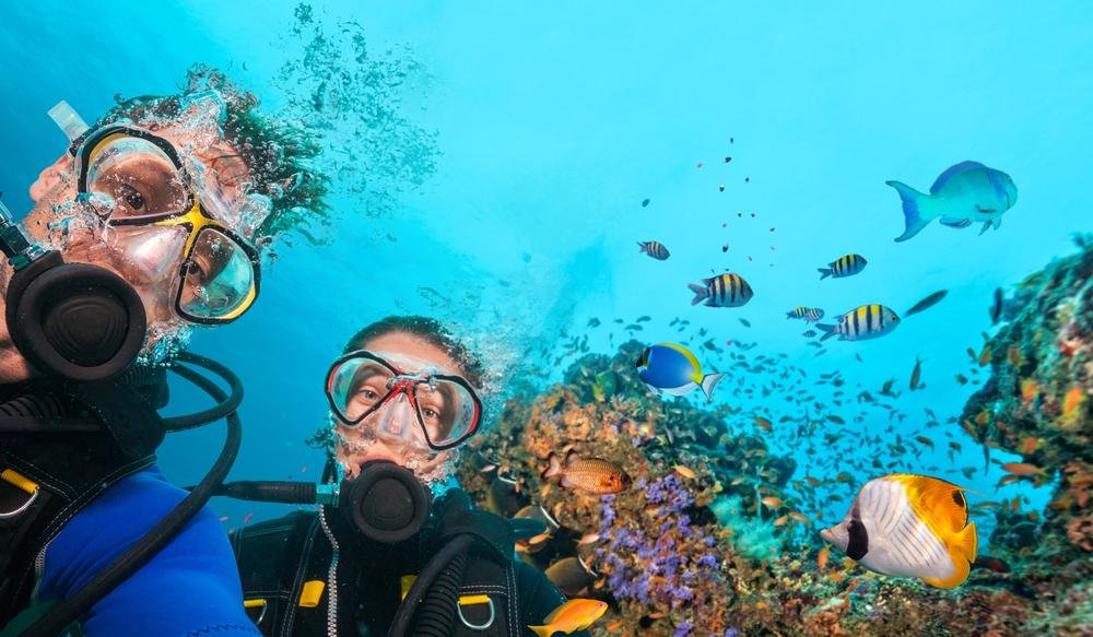 What Are the Different Levels of Scuba Certification?