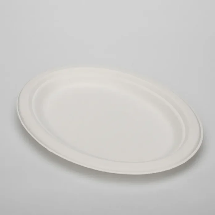 8 Inches Disposable Bagasse Plate